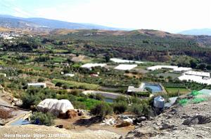 24 SIERRA NEVADA DE UGIJAR A TREVELEZ (6)